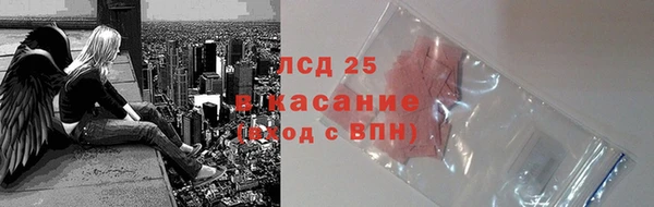 прущие грибы Алексеевка