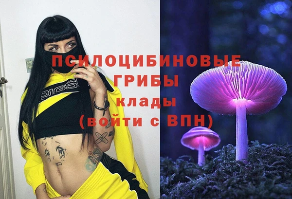 героин Алзамай