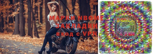 прущие грибы Алексеевка