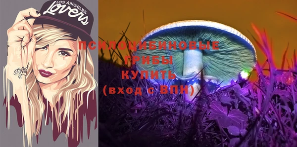 прущие грибы Алексеевка