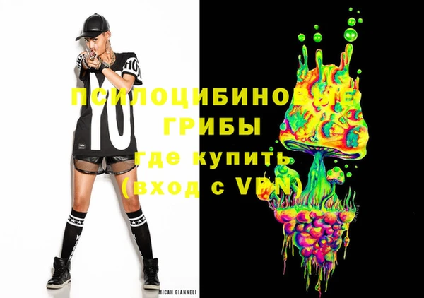 прущие грибы Алексеевка