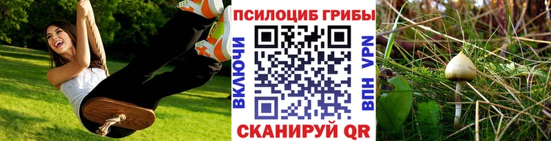 Галлюциногенные грибы мухоморы  Артём 